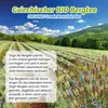 Oligri Griechischer BIO Bergtee aus Kozani - Sideritis Produktbild-Vorschau 5