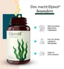 Algenöl Kapseln 1000 mg Omega-3 vegan Elpixol 60 St Produktbild-Vorschau 5