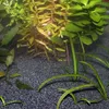 Close-up view of aquarium substrate and aquatic plants. Produktbild-Vorschau