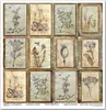 Scrapbooking-Papier Set 30×30 cm – SLS-049 Herbarium 2 – Produktbild-Vorschau 3