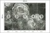 Muralo Vlies Fototapete graue BLUMEN Pfingstrosen Pflanzen Produktbild-Vorschau 2