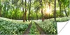 MuchoWow® Poster Wald - Blumen - Frühling 120x60 cm - Bild Produktbild-Vorschau 1