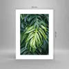 Poster - Poster ohne Rahmen - Blume Natur - 30x40 cm - Wand Produktbild-Vorschau 4