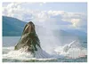 Buckelwale: Aus den blauen Tiefen der Ozeane (Wandkalender Produktbild-Vorschau 6