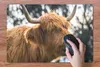 MuchoWow® Schreibtischunterlage Schottischer Highlander - Produktbild-Vorschau 3