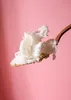 A close-up shot of coconut oil on a spoon against a pink background. Produktbild-Vorschau