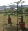 ALEOS. Eleganter XXL Rosenbogen Rankhilfe Pergola aus Produktbild-Vorschau 9