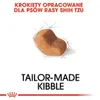 A single piece of dog kibble is shown with a sketch outline, accompanied by text describing it as tailor-made kibble. Anteprima dell’immagine prodotto