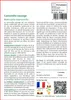 SAFLAX  - Camomille sauvage - 300 graines - Matricaria Voir les images du produit 3