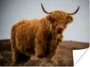 MuchoWow® Poster Schottischer Highlander - Düne - Gras Produktbild-Vorschau 1