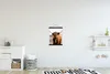 MuchoWow® Textilposter Schottische Highlander - Landschaft Produktbild-Vorschau 2