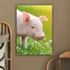 MuchoWow® - Leinwandbilder - Tiere - Ferkel - Schwein, Produktbild-Vorschau 5