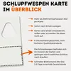 Schlupfwespen gegen Lebensmittelmotten - (4 Karten á 1 Produktbild-Vorschau 7