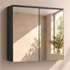 Badplaats Spiegelkast Toledo 60 x 20 x 60 cm – Mat Zwart – Productafbeelding-voorbeeld 2