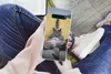 MuchoWow® Handyhülle Schutzhülle Hülle für Samsung Galaxy Produktbild-Vorschau 3