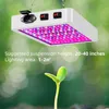 A white LED grow light with purple and red LEDs is shown suspended above a small green seedling. Podgląd zdjęcia produktu