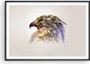 Gerahmtes Poster - Schwarzer Rahmen - Adler Vogel Feder - Produktbild-Vorschau 1