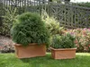Garden Italia Vasen Festooned Pflanzgefäß GCF Side 60 cm – Produktbild-Vorschau 2