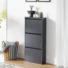 A dark gray shoe cabinet with three flip-down doors, decorated with small potted plants on top, stands against a white wall next to a window and a wicker basket filled with blankets. Náhled obrázku produktu