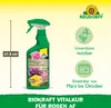 Neudorff BioKraft Vitalkur AF für Rosen 500 ml unbedenklich Produktbild-Vorschau 3
