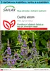 SAFLAX Darčeková sada - cudný strom - Vitex agnus-castus - Náhľad obrázku produktu 1