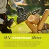 Motosierra RYOBI Motor de 18 V con guía de 30 cm OnePlus Vista previa de la imagen del producto 16