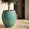 Drzewko oliwne w donicy ceramicznej Provencelia COCOON, Podgląd zdjęcia produktu 3