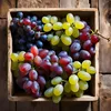 Traubenpflanze - 3 Stk - Vitis vinifera - Höhe 25-40cm - Produktbild-Vorschau 5