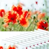 Abwaschbare Tischsets 12er Set Sommer Mohn-Blumen Produktbild-Vorschau 1