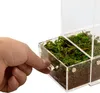 Repti-Zoo Easy Clean Acrylic Terrarium - akrylové terárium Náhled obrázku produktu 3