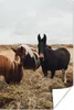 MuchoWow® Poster Tiere - Pferd 40x60 cm - Plakate für die Produktbild-Vorschau 1