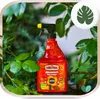 Insektenspray Polysect - 750 ml - gegen Schädlinge - Produktbild-Vorschau 6