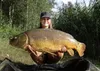 Carp Food Perfection Hookers 18mm/120g Banana Cream Anteprima dell’immagine prodotto 4