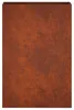 Zahradní pěstebník 2 ks Rezavá 40 x 20 x 75 cm Náhled obrázku produktu 5