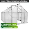 BRAST Gewächshaus Aluminium mit Fundament | 310x250x205cm | Produktbild-Vorschau 9