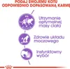Royal Canin Sachets fraîcheur Sterilised en sauce Multipack Voir les images du produit 3