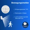 REV Night light w/ movement detector, 66,5 mm, 100 mm, 130 Podgląd zdjęcia produktu 5