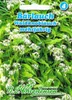Bärlauch Waldknoblauch | Bärlauchsamen von N.L. Chrestensen Produktbild-Vorschau 3