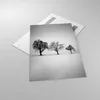 Bilder auf glas - Einteilig - Winter Bäume Schnee - Produktbild-Vorschau 2