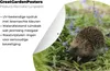 MuchoWow® Produktbild-Vorschau 2