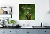 MuchoWow® Poster Vogel füttert seine Jungen 75x75 cm - Wand Produktbild-Vorschau 3