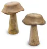 Lot de 2 champignons décoratifs en bois Mango à poser – 14 Voir les images du produit 1