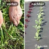 Premium-Unkrautvlies 200g/m² – verabschieden Sie sich von Produktbild-Vorschau 3
