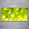Glasbilder 120x60 Wandbild Druck auf Glas Blätter Pflanzen Produktbild-Vorschau 2
