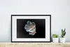 MuchoWow® MuchoWow® Gerahmtes Poster Fisch - Schwanz - Produktbild-Vorschau 4
