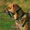 Trixie Top Trainer postroj L/3 31cm [TX-13004] Náhled obrázku produktu 5