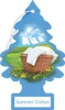 Deodorante per ambienti Wonderboom Summer Cotone Anteprima dell’immagine prodotto 12