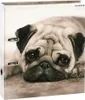 Starpak Dog A4 Hunde-Ordner Produktbild-Vorschau 1