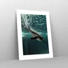 Poster - Poster ohne Rahmen - Tauchen Pinguin Gletscher - Produktbild-Vorschau 7