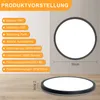 Product information and a diagram of a ceiling light. Voir les images du produit